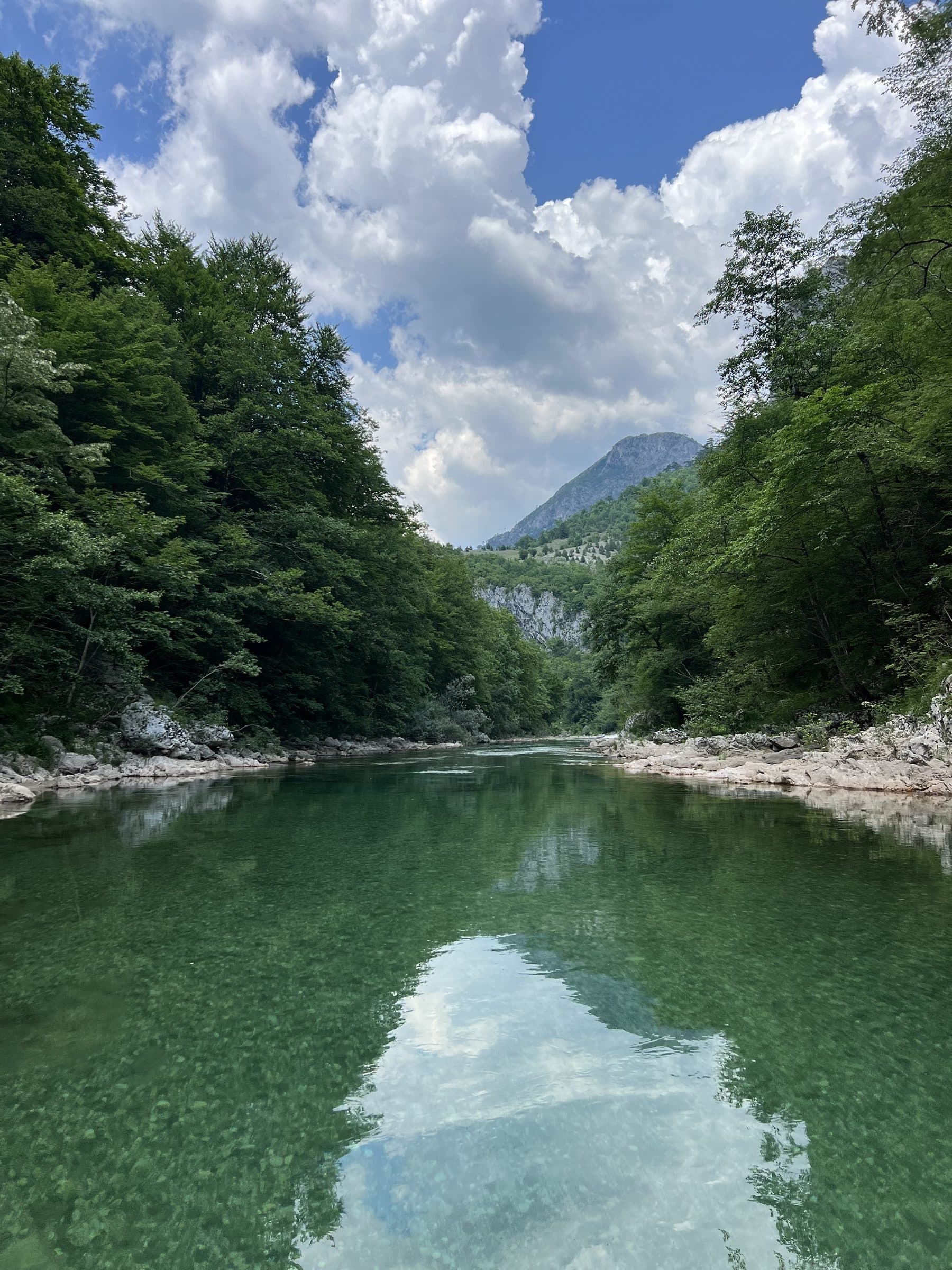 Calm emerald river winding through a green canyon in Bosnia & Herzegovina