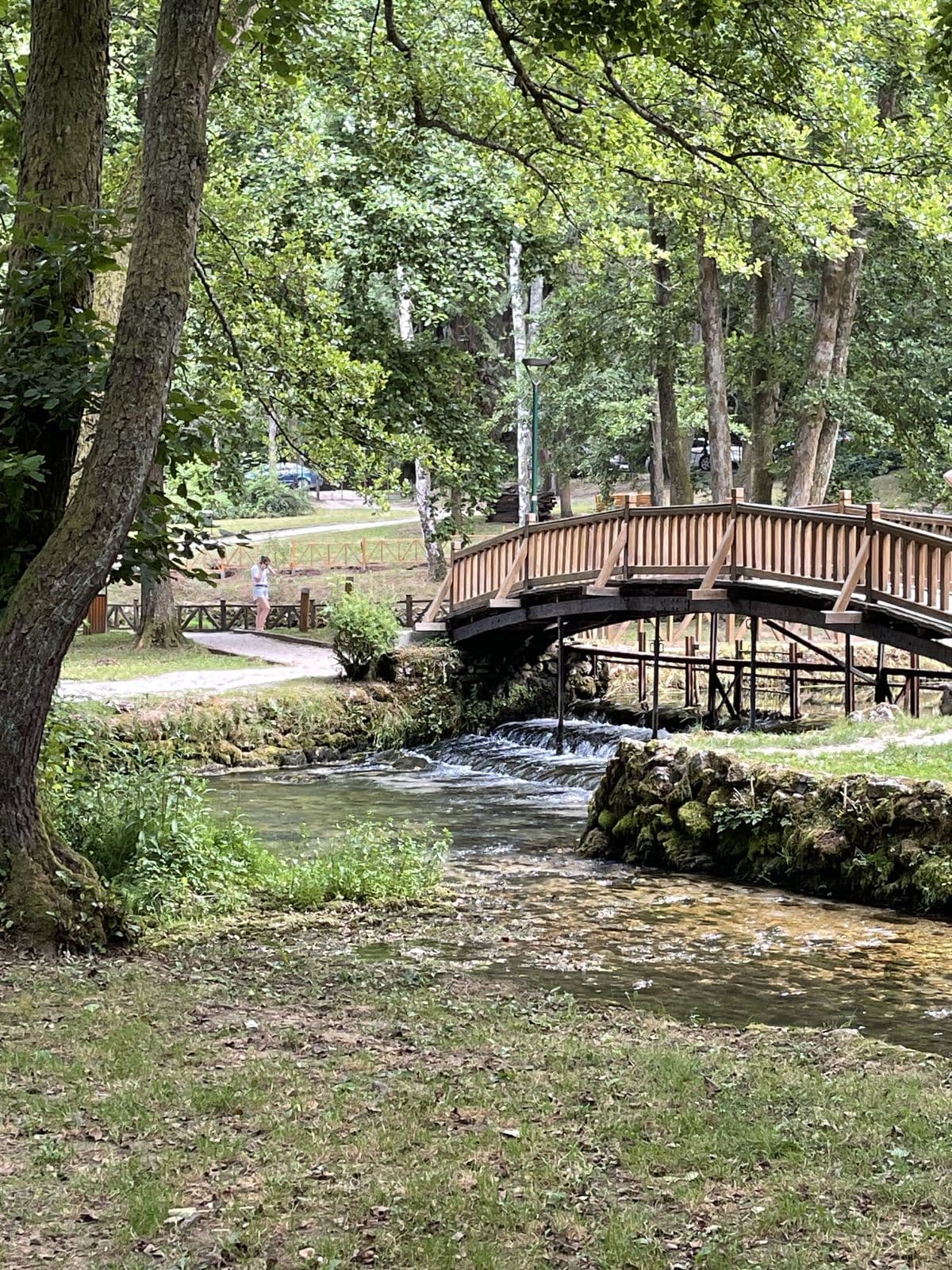Ottoman-style wooden bridge over a clear river in a green park